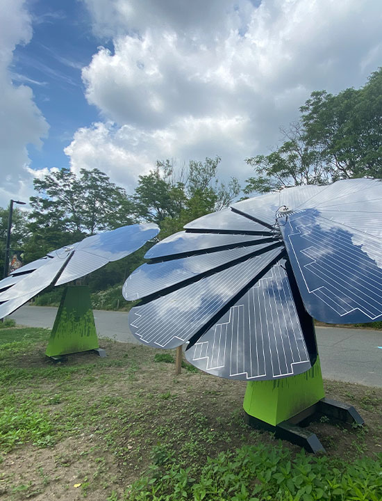 Two Smartflower solar panel installations with green bases at Franklin Park Zoo