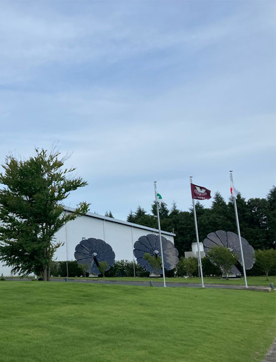 Row of Smartflower solar panels outside modern white building with glass entrance and green lawn