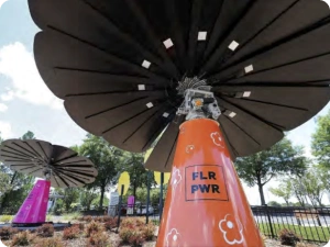 Decorative solar installations featuring colorful flower-power messaging in public garden space