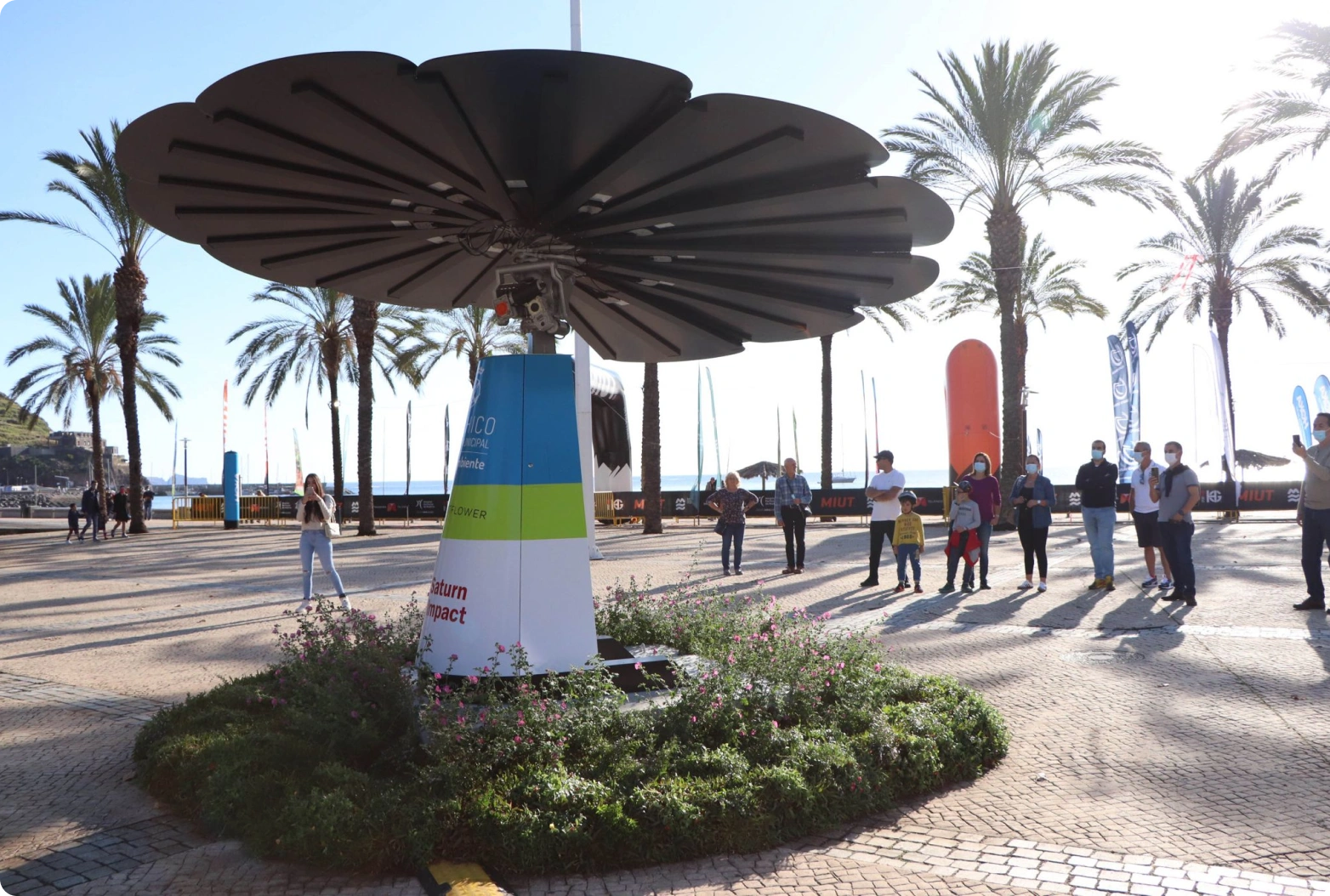 SmartFlower solar installation in a beachfront plaza with palm trees and ocean backdrop